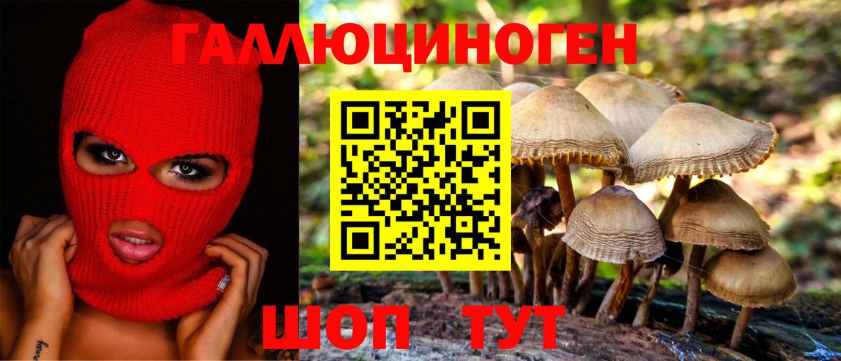 Псилоцибиновые грибы мухоморы  Вход с VPN  Десногорск 