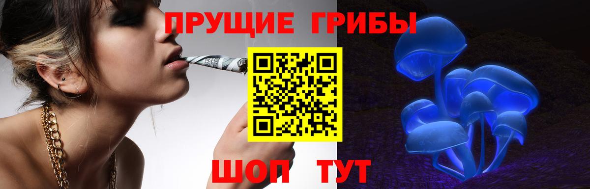 Галлюциногенные грибы Psilocybe Десногорск